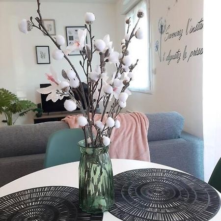 Ferienwohnung Proche Aeroport A Pied, Le Reve Rose. Tillé Exterior foto