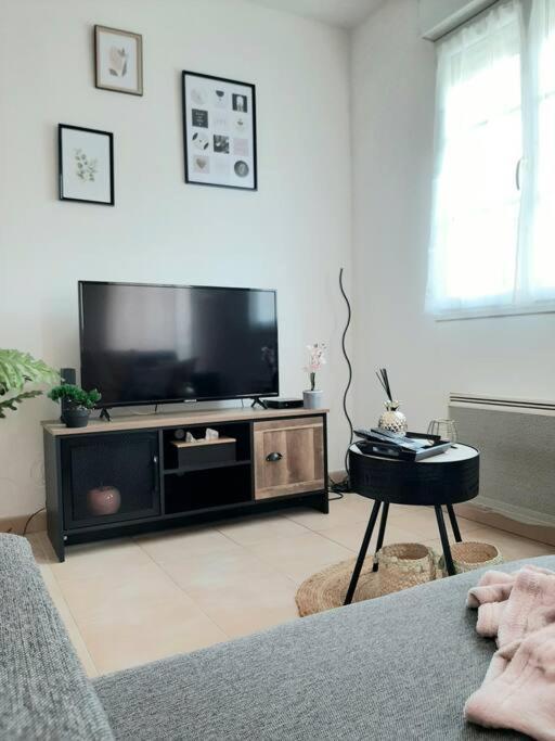 Ferienwohnung Proche Aeroport A Pied, Le Reve Rose. Tillé Exterior foto