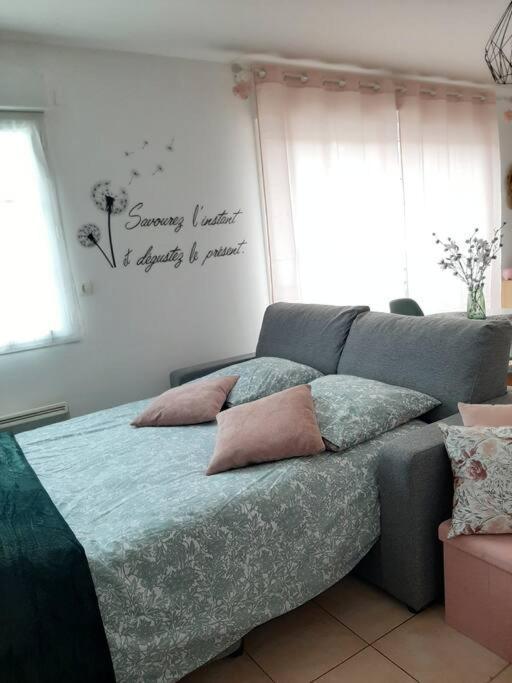 Ferienwohnung Proche Aeroport A Pied, Le Reve Rose. Tillé Exterior foto